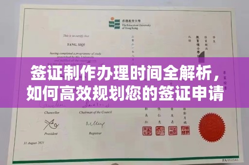 泸州签证制作办理时间全解析，如何高效规划您的签证申请流程