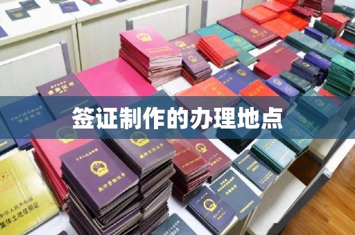 泸州签证制作的办理地点