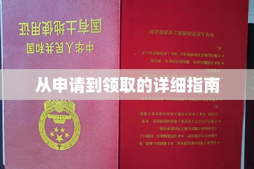 泸州从申请到领取的详细指南