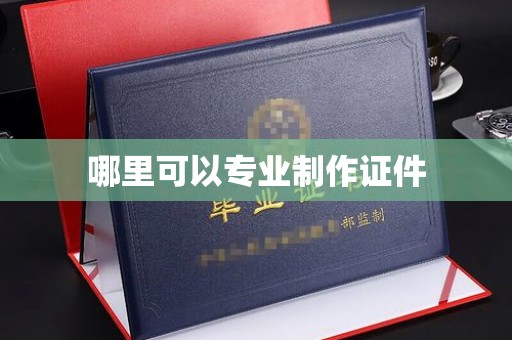 泸州哪里可以专业制作证件