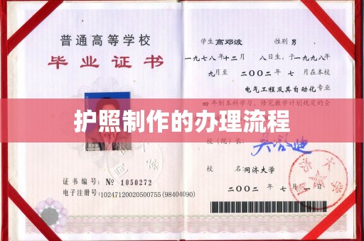 泸州护照制作的办理流程