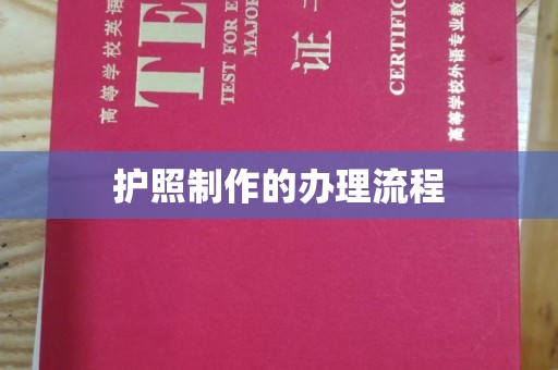 泸州护照制作的办理流程