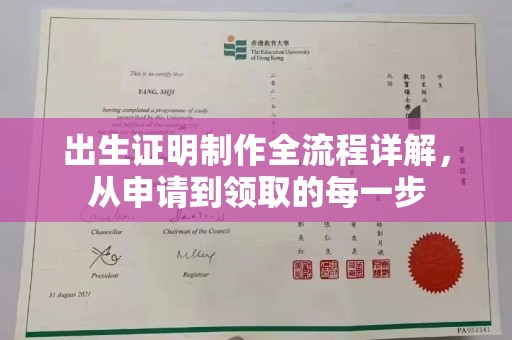 泸州出生证明制作全流程详解，从申请到领取的每一步