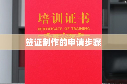 泸州签证制作的申请步骤