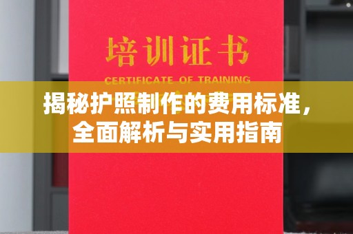泸州揭秘护照制作的费用标准，全面解析与实用指南