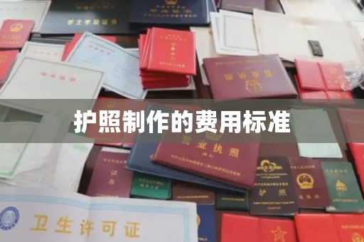 泸州护照制作的费用标准