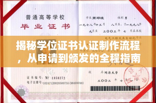 泸州揭秘学位证书认证制作流程，从申请到颁发的全程指南