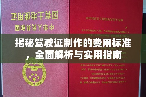 泸州揭秘驾驶证制作的费用标准，全面解析与实用指南