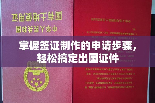 泸州掌握签证制作的申请步骤，轻松搞定出国证件