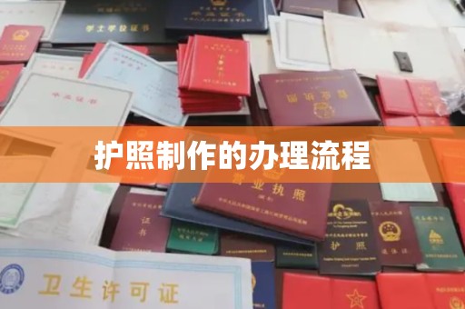 泸州护照制作的办理流程