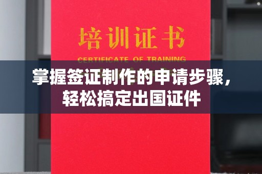 泸州掌握签证制作的申请步骤，轻松搞定出国证件