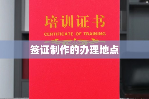 泸州签证制作的办理地点