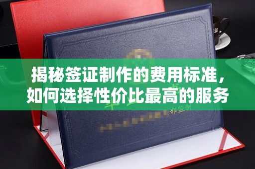 泸州揭秘签证制作的费用标准，如何选择性价比最高的服务？