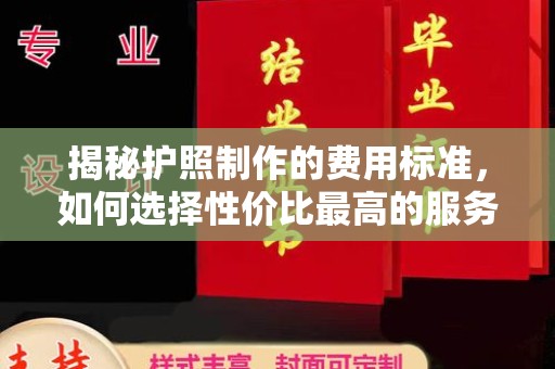 泸州揭秘护照制作的费用标准，如何选择性价比最高的服务？