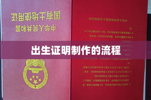 泸州出生证明制作的流程