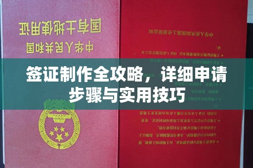 泸州签证制作全攻略，详细申请步骤与实用技巧
