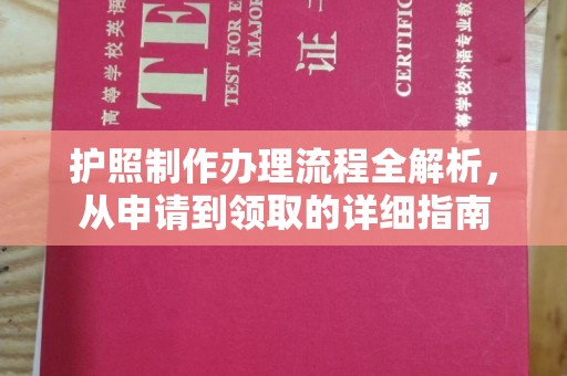 泸州护照制作办理流程全解析，从申请到领取的详细指南