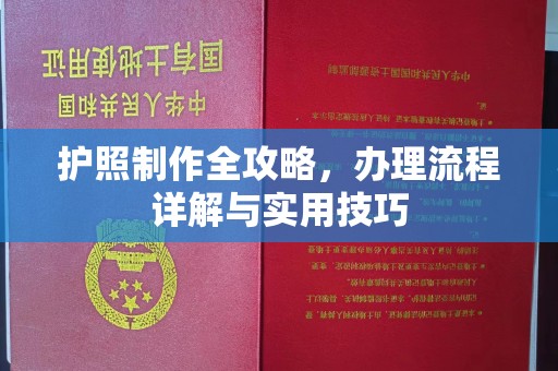 泸州护照制作全攻略，办理流程详解与实用技巧